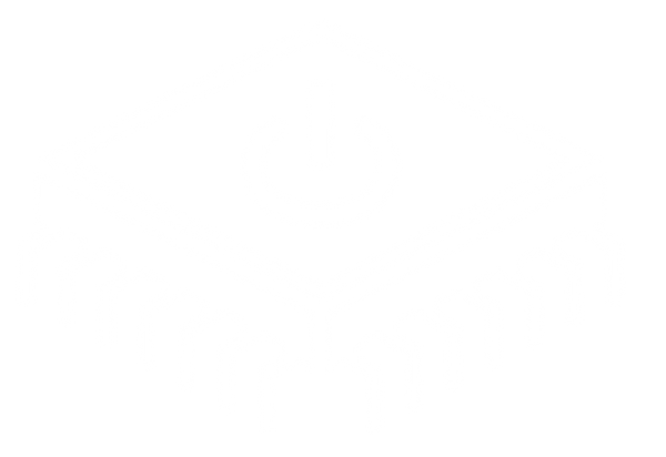 UltraCore Systems